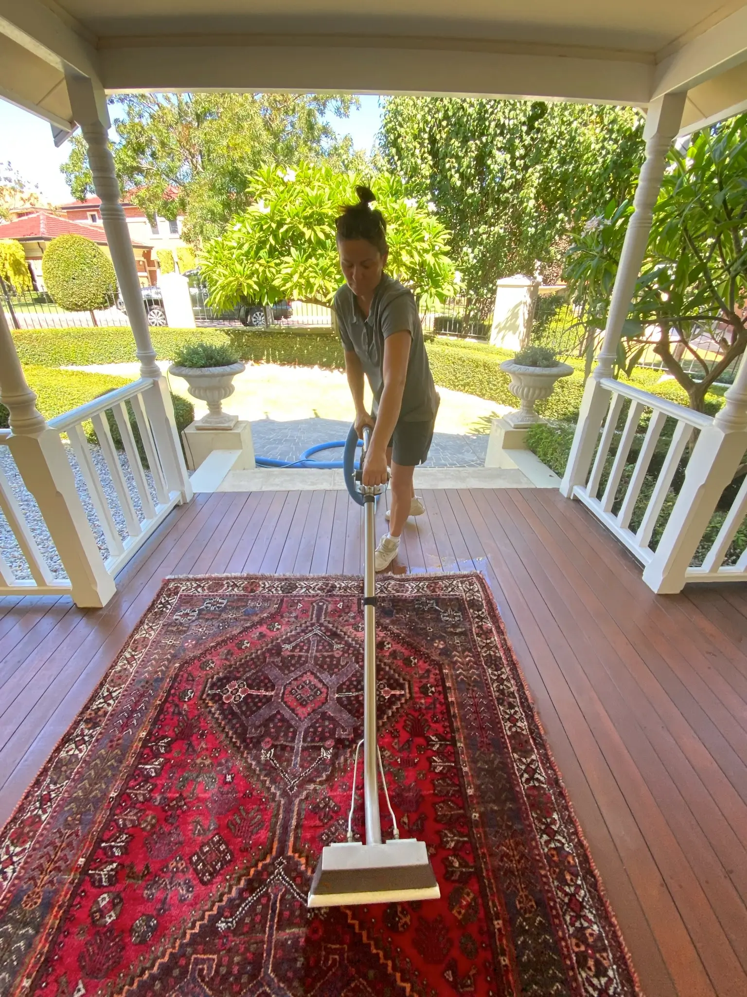 professional carpet cleaning