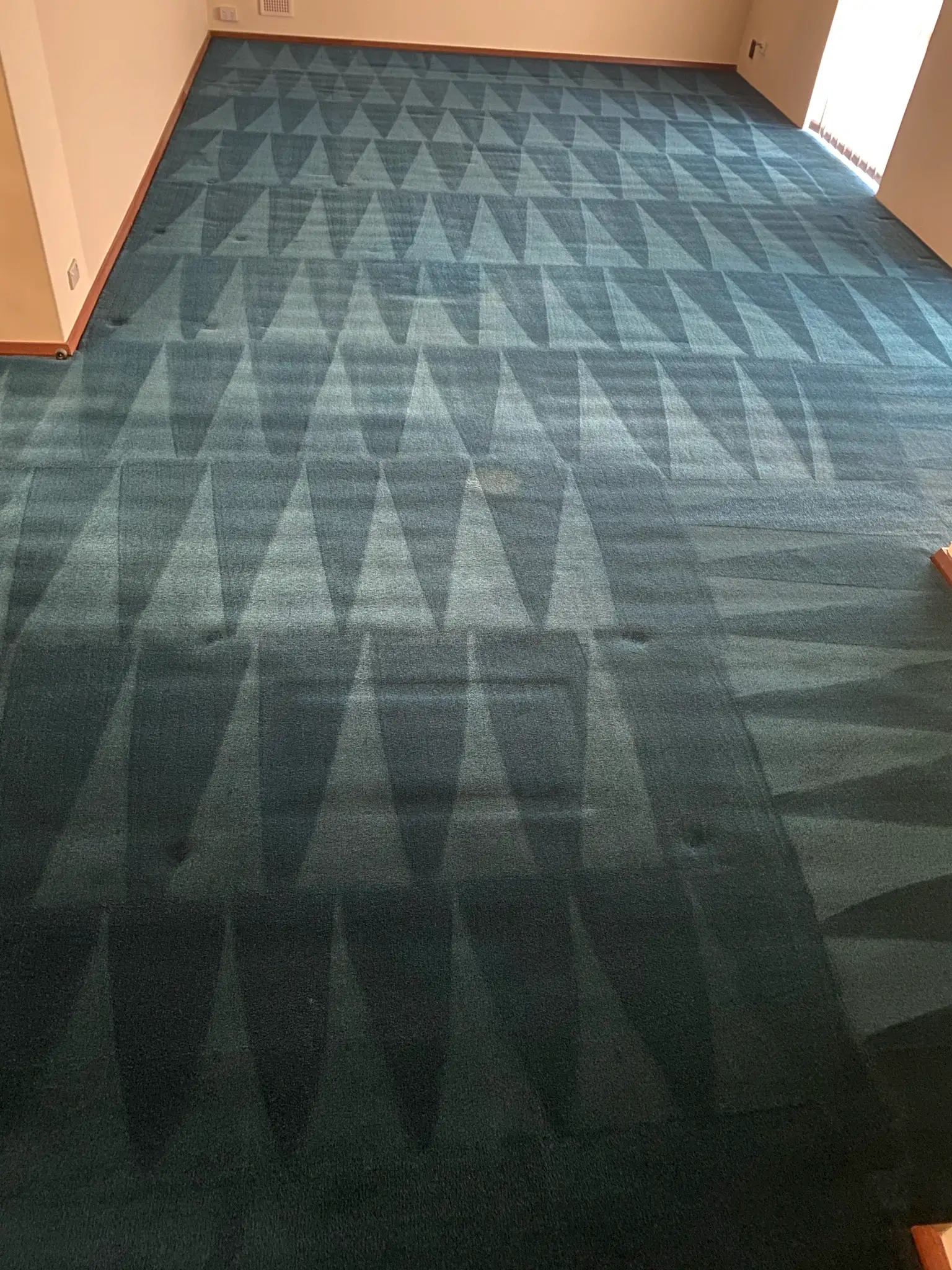 professional carpet cleaning