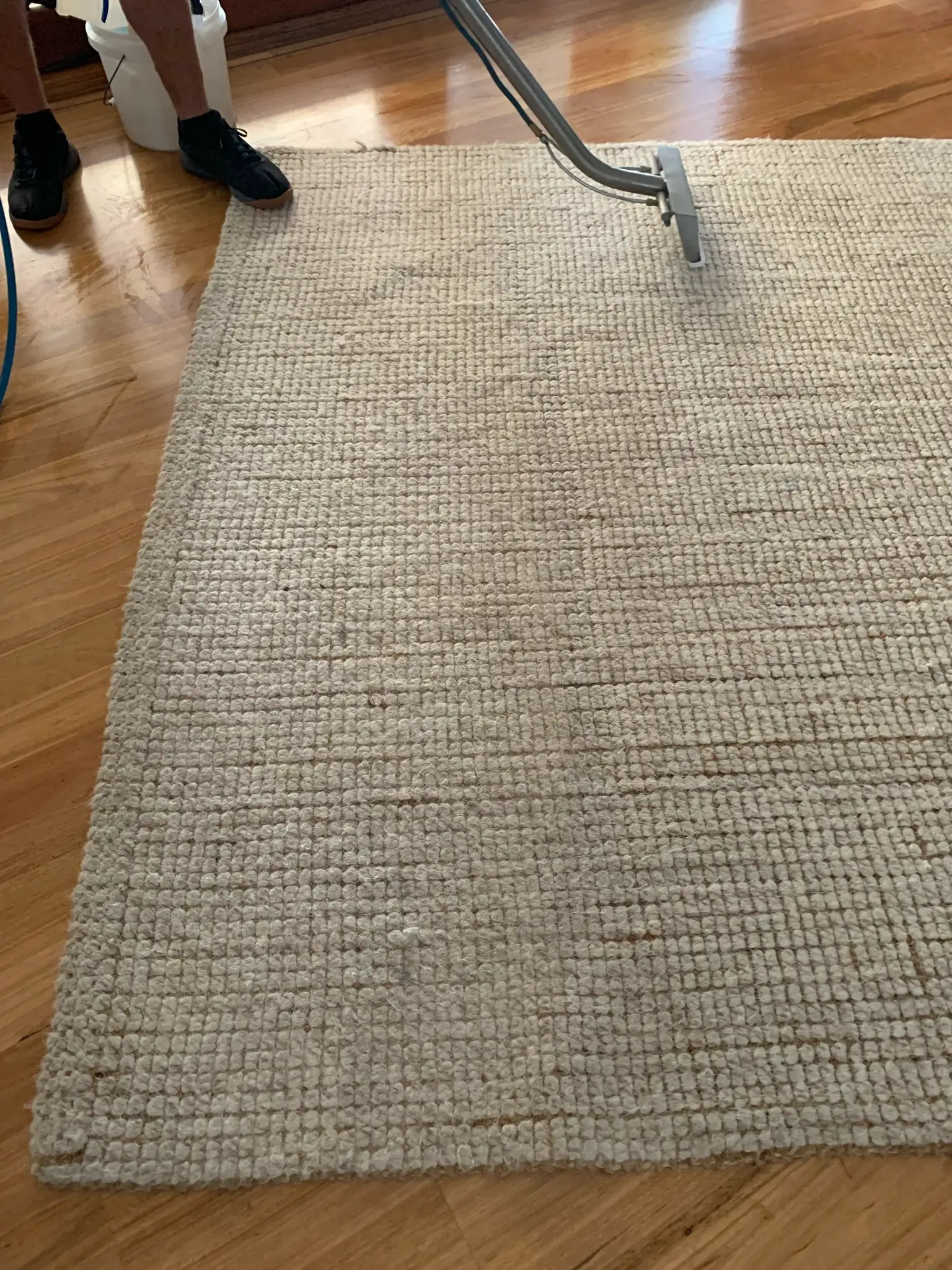Professional Carpet Steam Cleaning