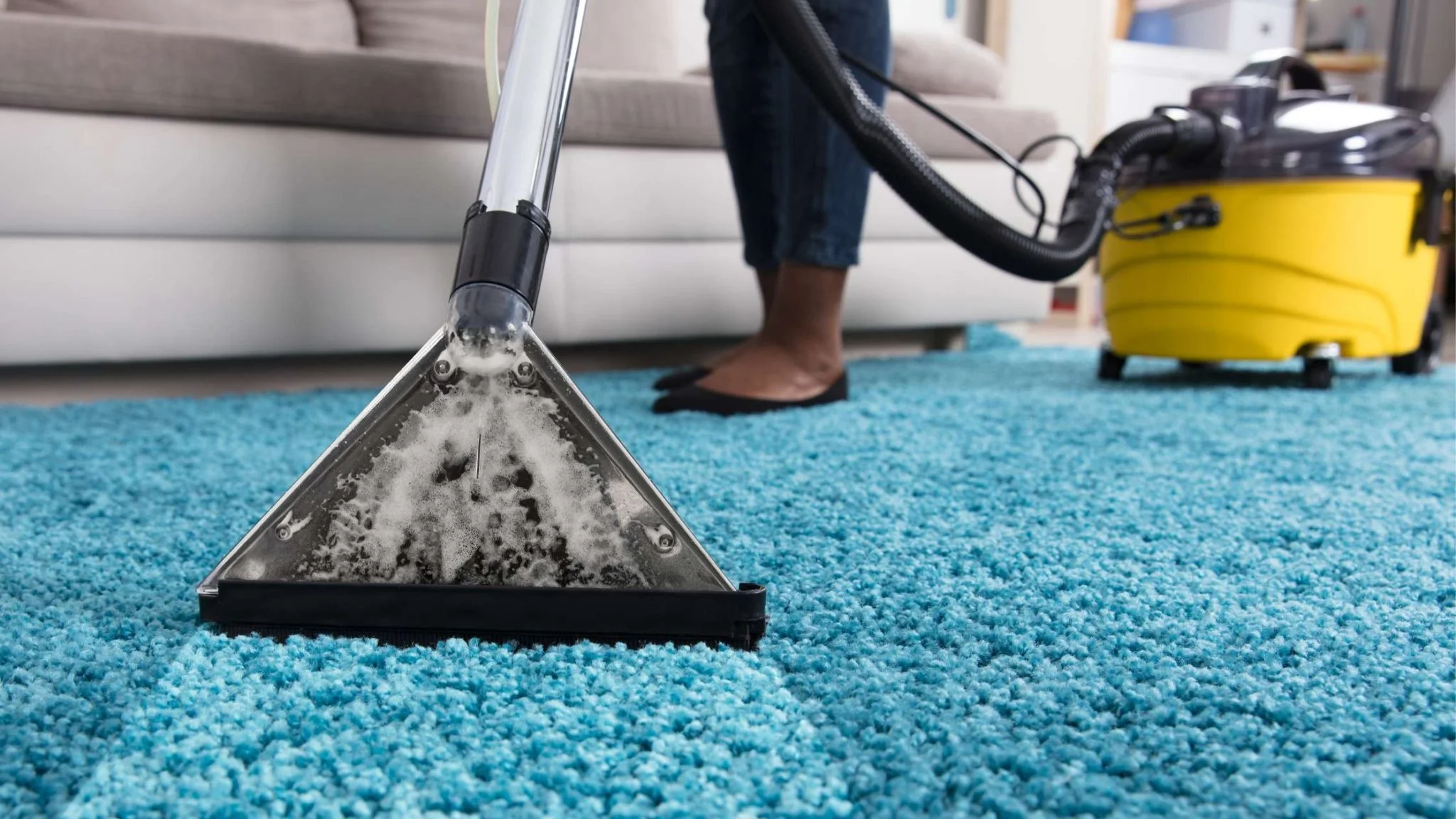 carpet cleaning