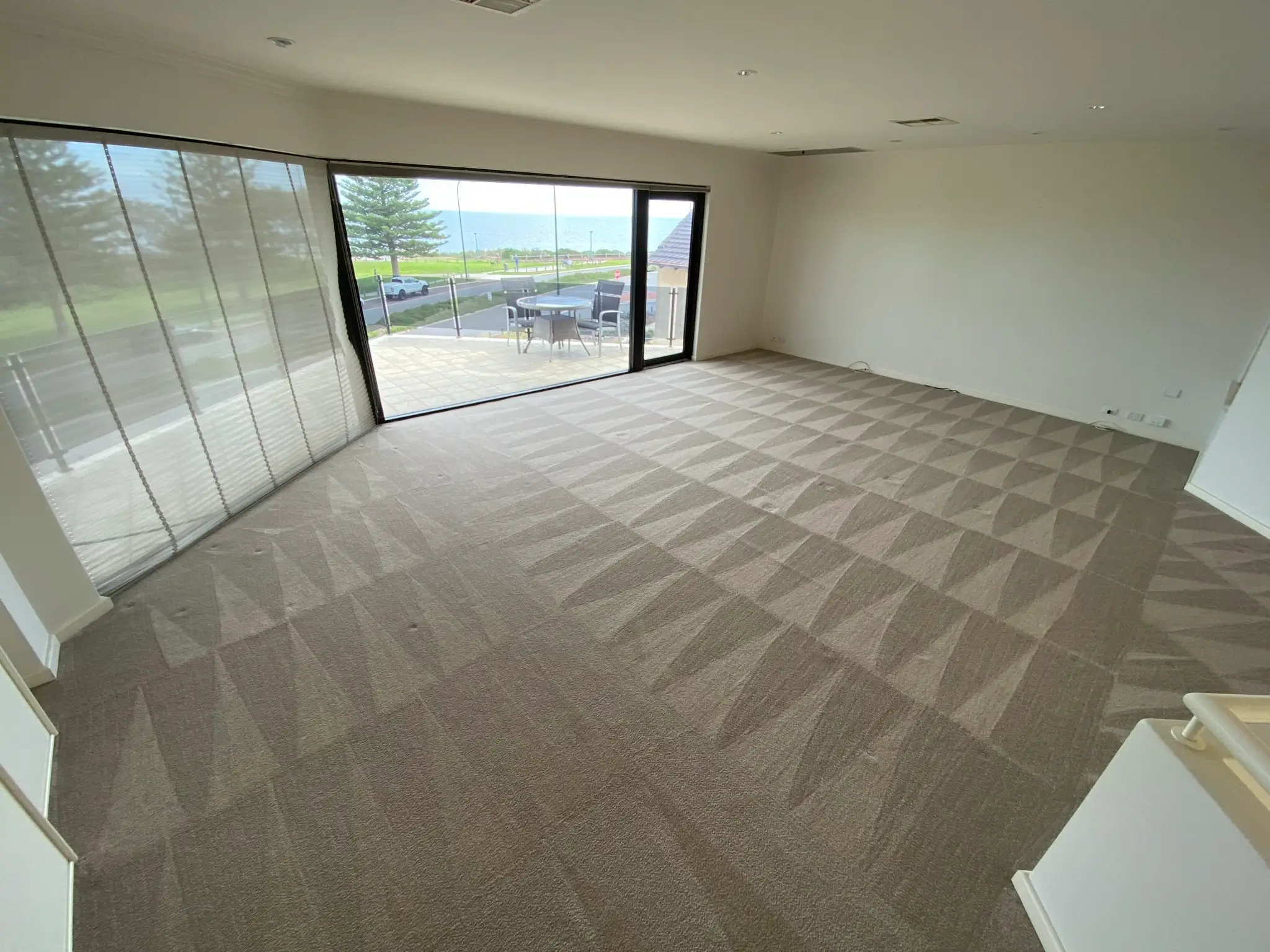 Professional Carpet Steam Cleaning