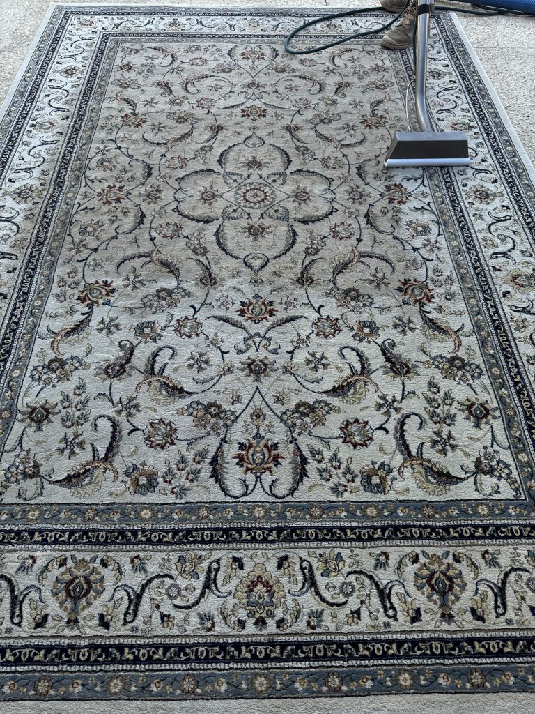 Professional Carpet Steam Cleaning