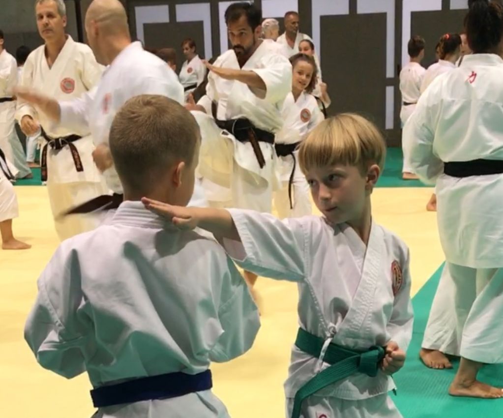 Two junior students with blue and green belts practising a partner drill at a WSKF seminar